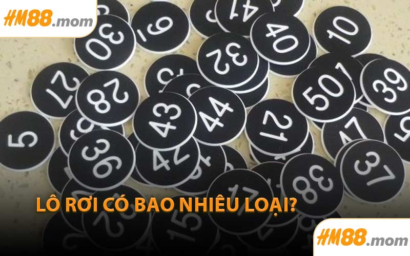 Lô rơi có bao nhiêu loại?