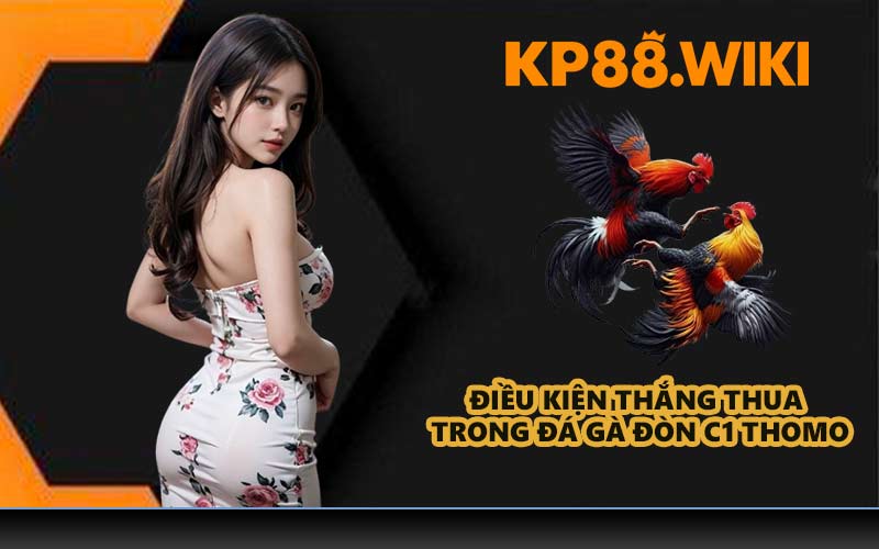 Điều kiện thắng thua trong đá gà đòn C1 Thomo